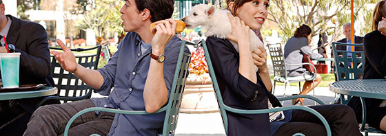 Fall TV Shows 2014: A to Z