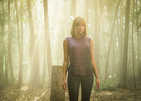 Under the Dome Series Finale