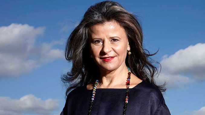 Tracey Ullman's Show