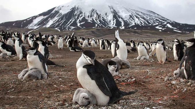 Planet Earth II