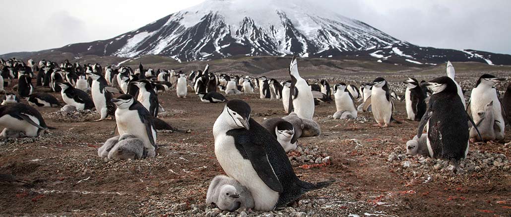 Planet Earth II