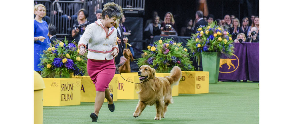 Westminster Kennel Club Dog Show