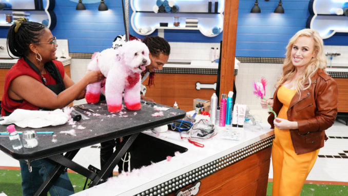 Pooch Perfect on ABC, hosted by Rebel Wilson