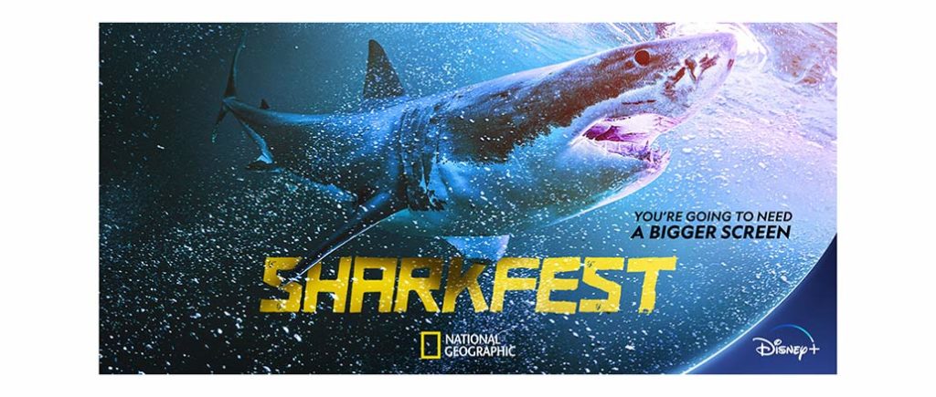 Sharkfest National Geographic Channel