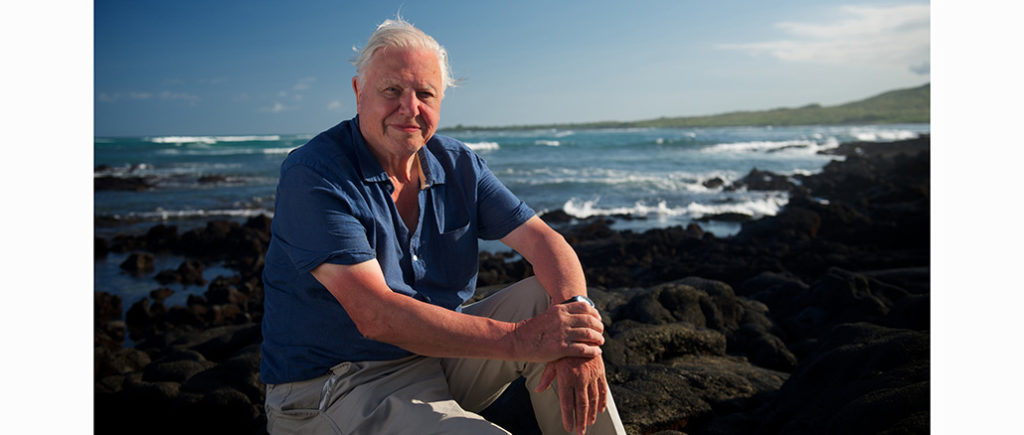 Attenborough's Global Adventure BBC America
