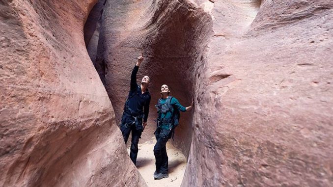 Running Wild With Bear Grylls: The Challenge