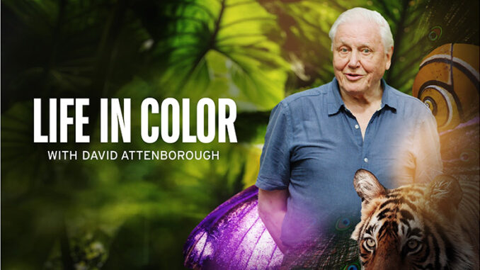 Life in Color With David Attenborough BBC America