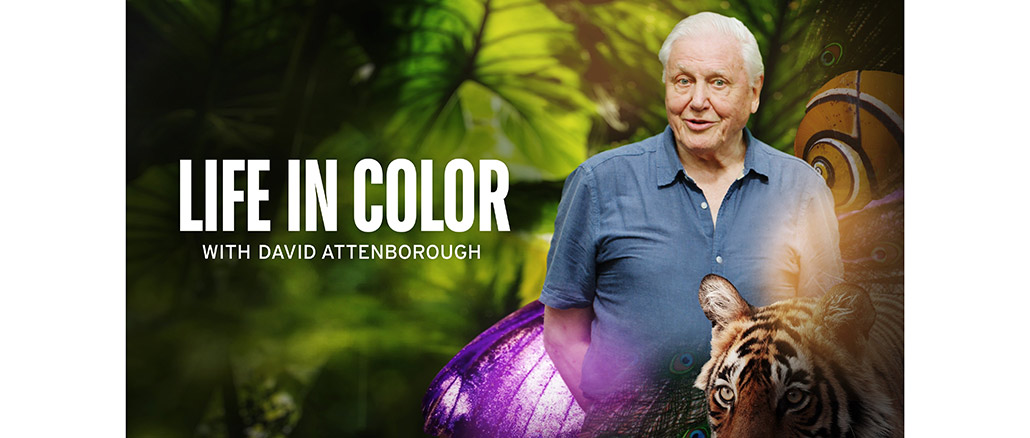 Life in Color With David Attenborough BBC America