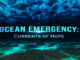 Ocean Emergency: Oceans of Hope The CW