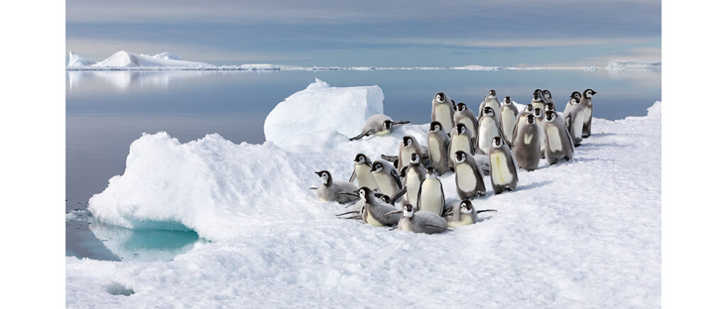 Frozen Planet II BBC America