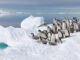 Frozen Planet II BBC America