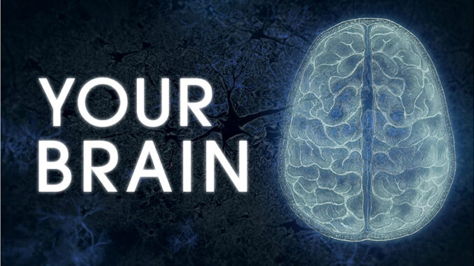 PBS Nova Your Brain