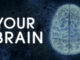 PBS Nova Your Brain