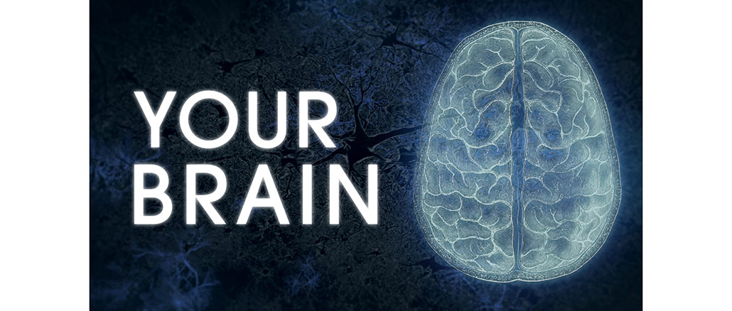 PBS Nova Your Brain