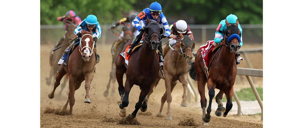 National Treasure, Preakness Stakes