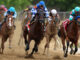 National Treasure, Preakness Stakes
