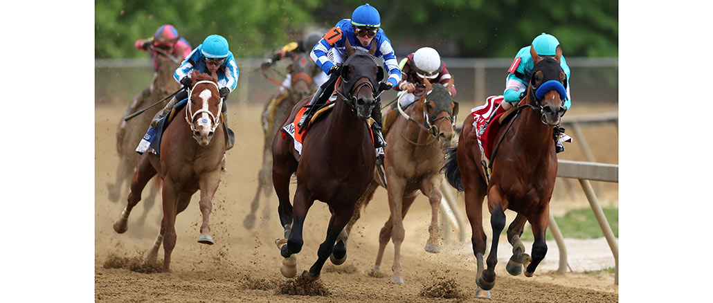 National Treasure, Preakness Stakes