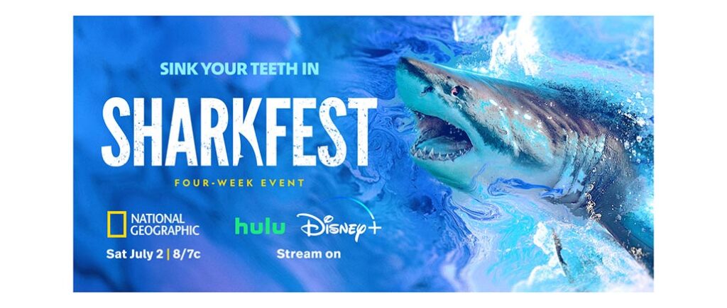 SharkFest 2023