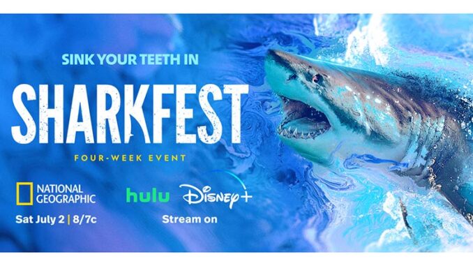 SharkFest 2023