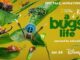 A Real Bug's Life, Disney+