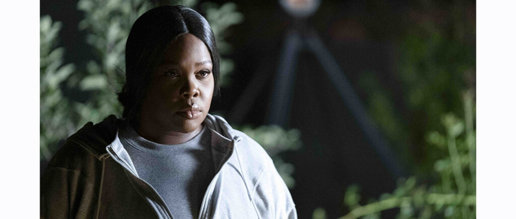 Single Black Female 2 Simone's Revenge Lifetime