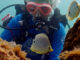 Changing Planet Coral Special PBS