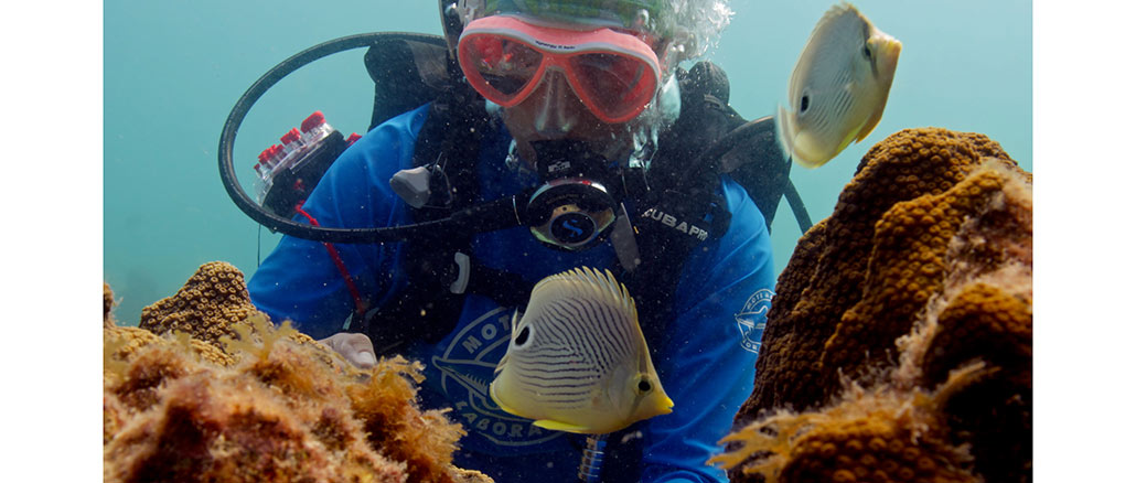 Changing Planet Coral Special PBS