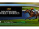 New York Times PResents Broken Horses