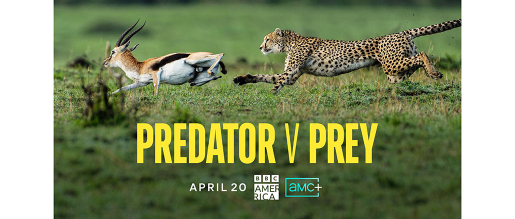 Predator v Prey BBC America