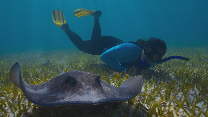 The Future of Nature PBS