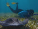 The Future of Nature PBS