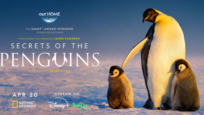 Secrets of the Penguins, Nat Geo