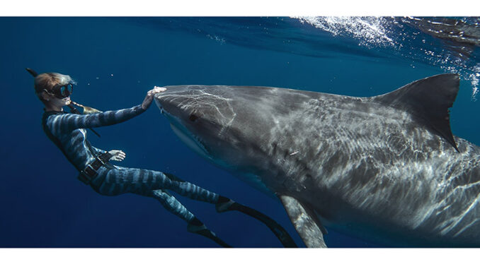 Shark Whisperer, Netflix