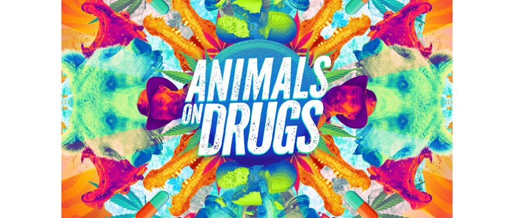 Animals on Drugs, Discovery Channel
