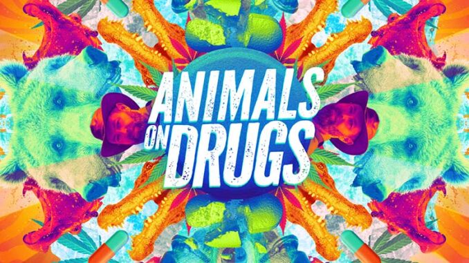 Animals on Drugs, Discovery Channel