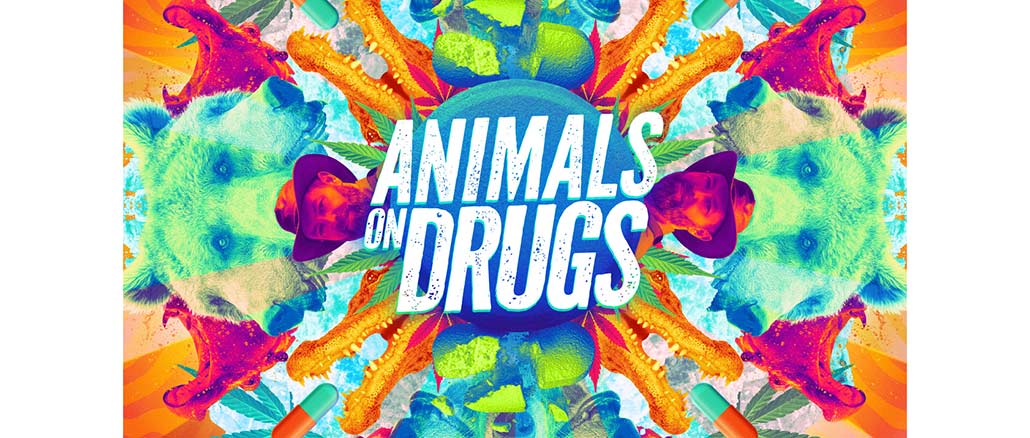 Animals on Drugs, Discovery Channel