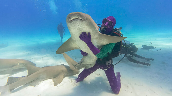 Dancing With Sharks, Shark Week, Discovery Channel