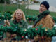Holidazed, Hallmark Channel