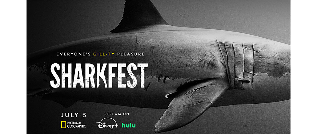 Sharkfest, National Geographic