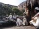 SACRED PLANET WITH GULNAZ KHAN, PBS