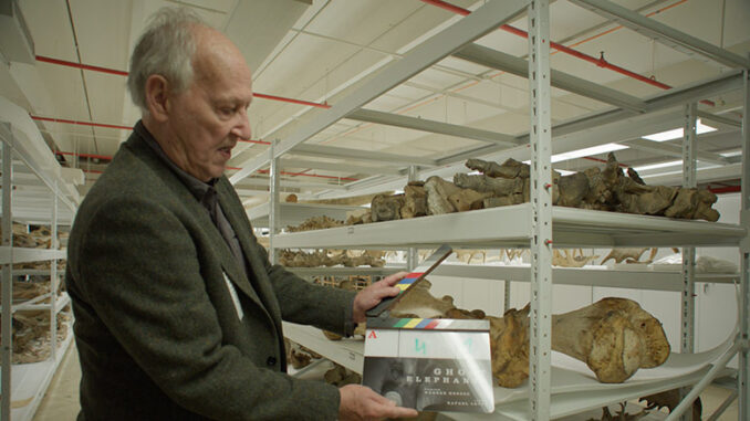 Ghost Elephants, National Geographic Channel