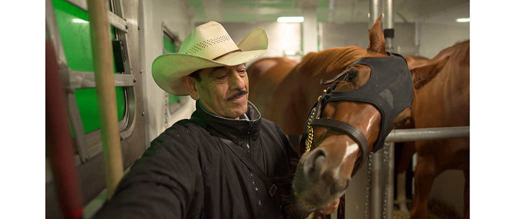 Backside: The Unseen Hands of Horse Racing, PBS
