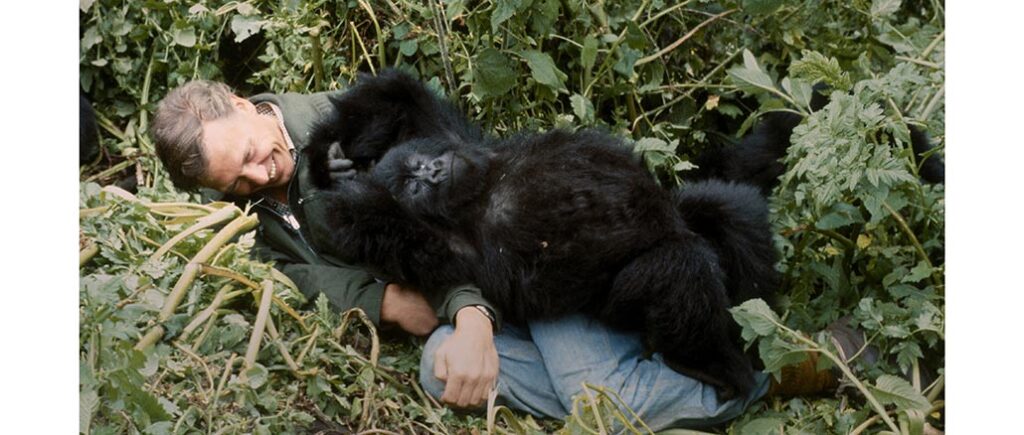 A Gorilla Story Netflix