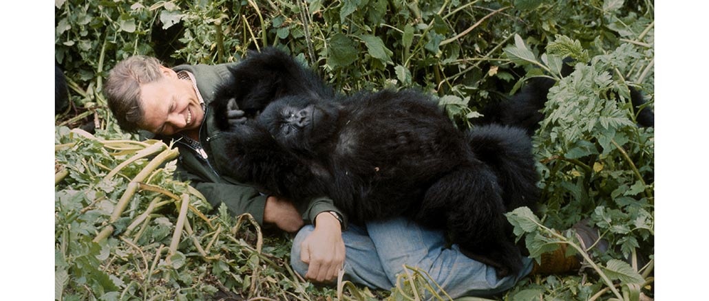 A Gorilla Story Netflix